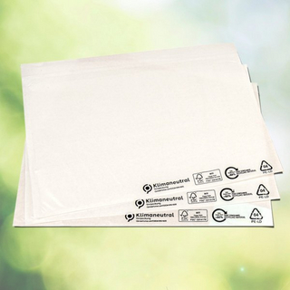 Umweltfreundliche LDPE-Begleitpapiertaschen