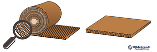Rollenwellpappe und vorgeschnittene Bogenware