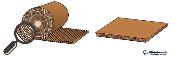 Rollenwellpappe und vorgeschnittene Bogenware Rollenwellpappe und vorgeschnittene Bogenware