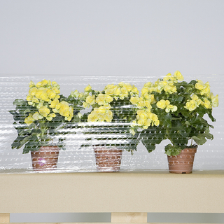 Gelochte Palettensicherungsfolie optimale Luftzirkulation Gelochte Palettensicherungsfolie optimale Luftzirkulation