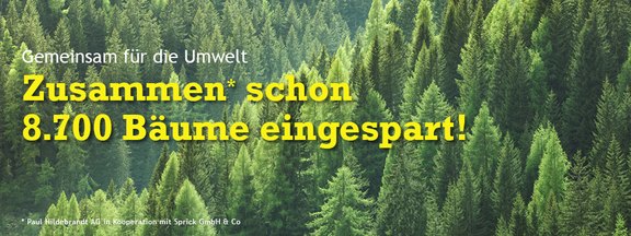 Headerbild_LinkedIn_Sprick-Post_Bäume_eingespart.jpg  