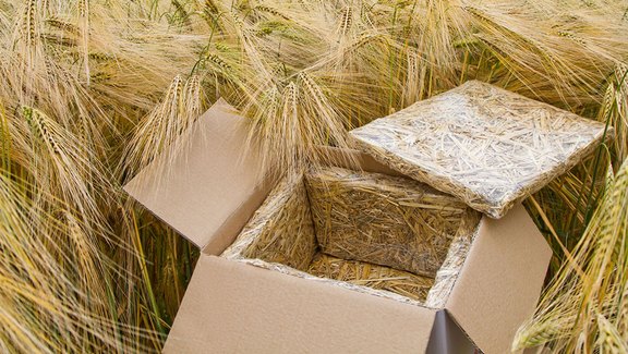 Made by Nature: Biobasierte Verpackungen  