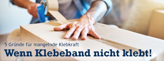 01_Bildformate_für_PH-Newsletter_Ausgabe_50_div_Formate2.jpg  