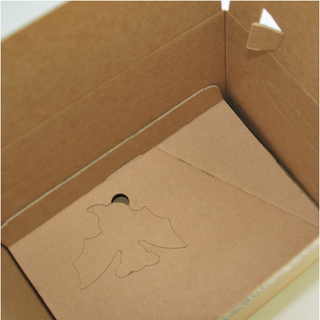 laio® WELL Karton | keine Bodenverklebung notwendig