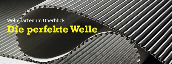 PH-Newsletter_Ausgabe_51_Bildformate_.jpg  