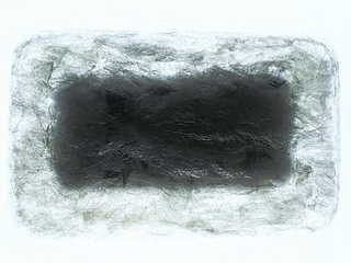 Schutzverpackung aus algenbasiertem Biokunststoff © AMAM