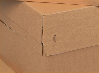 seitlicher Eingreifschutz