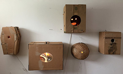 Kartonismen mit Einblick (2016) Kartonismen mit Einblick (2016)