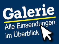 Galerie: Alle Einsendungen im Überblick